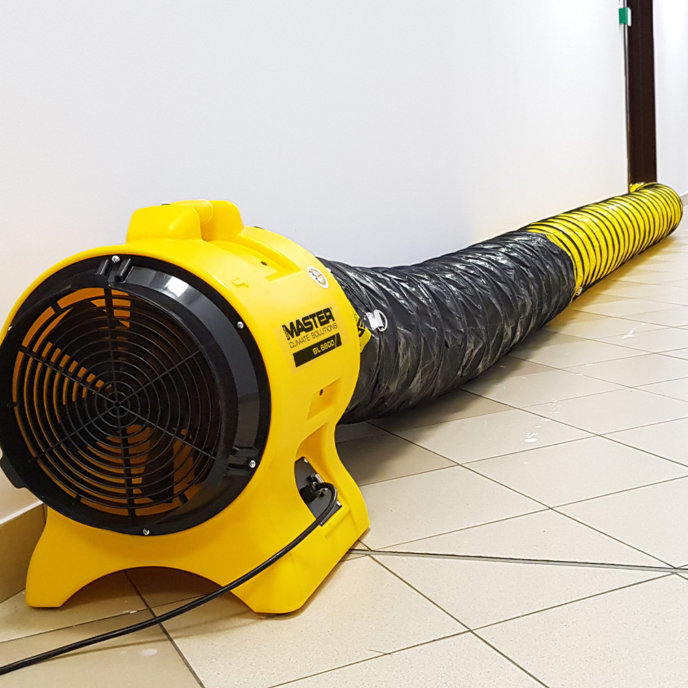 Master BL 6800 office