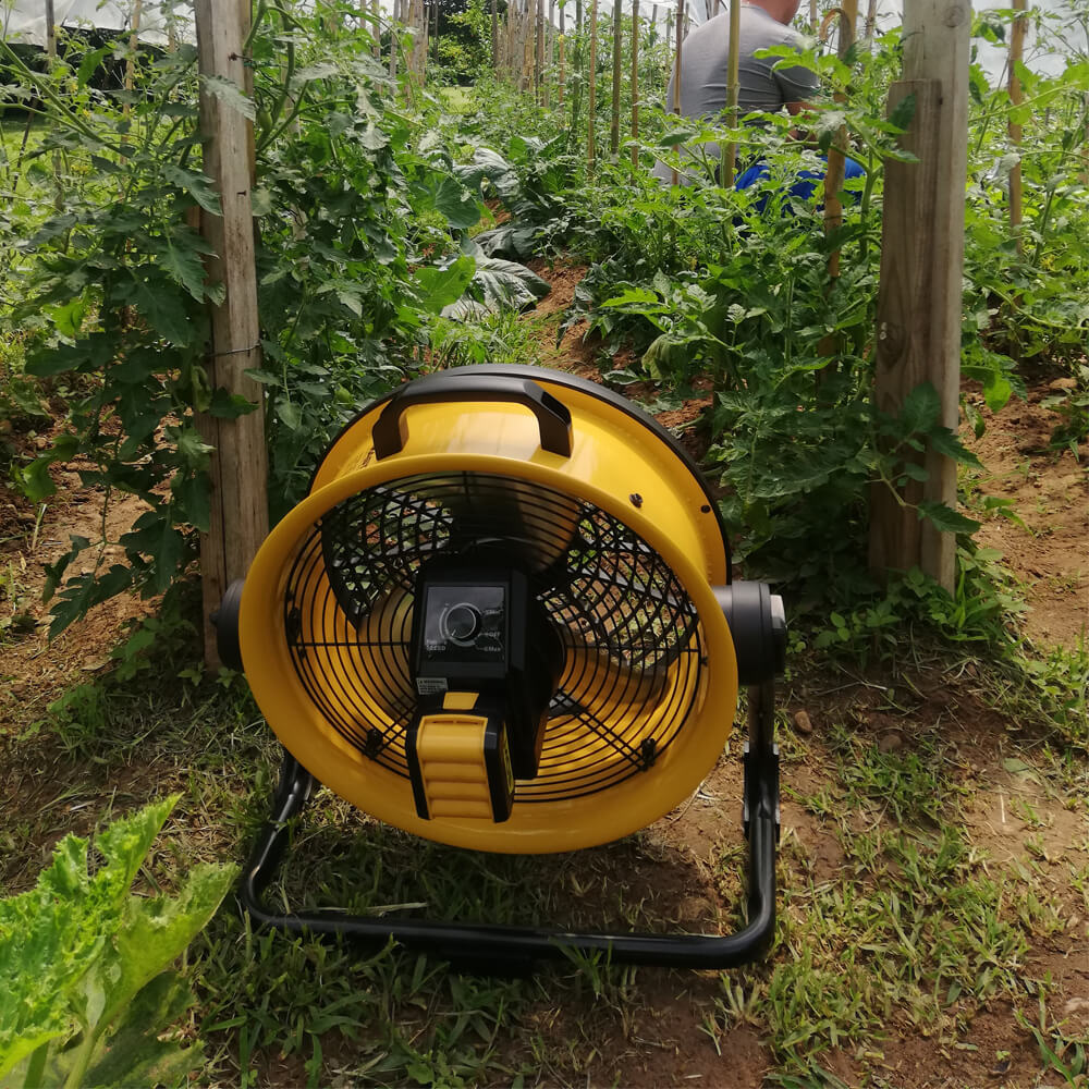 Master DFB 16 PORTA-AIR greenhouse