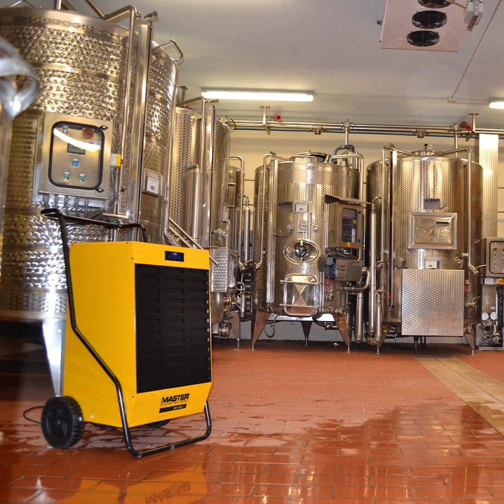 Master DH drying a winery