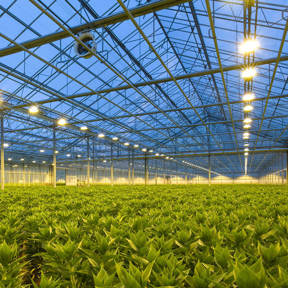 Trotec BC21 Application 01 web